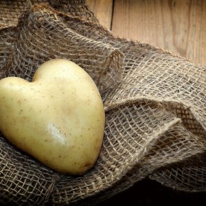patate Groupe des féculents